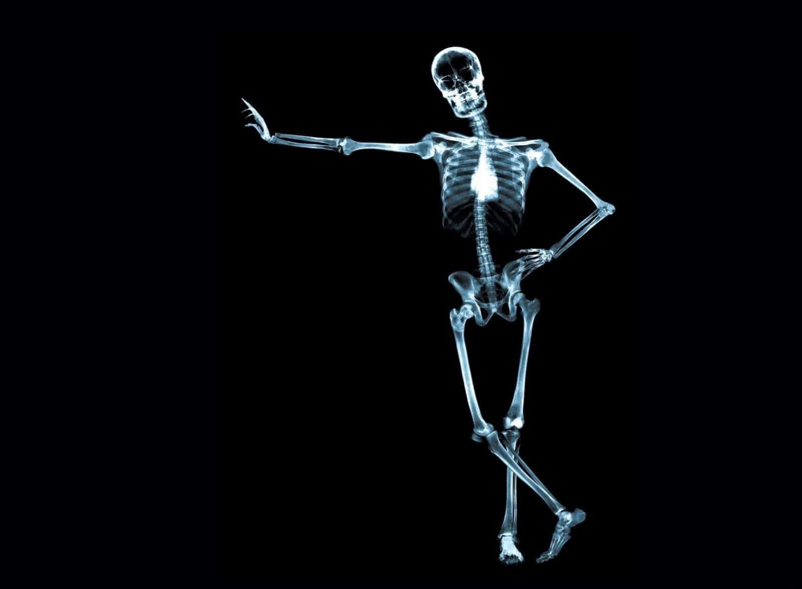 Skeleton Wall Paper