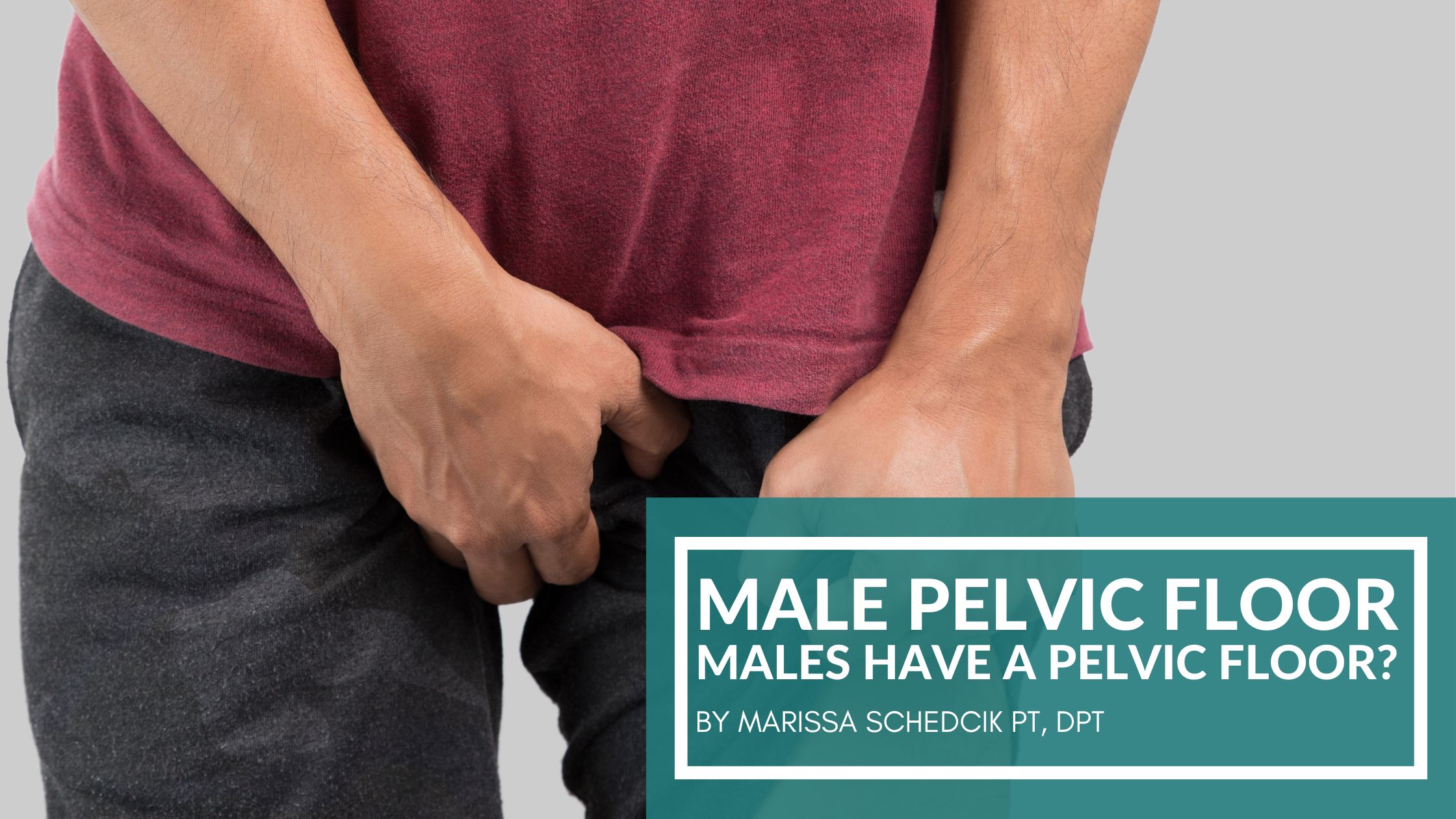 Simple anatomy guide showing male pelvic floor muscles and their role in supporting bladder and bowel function.